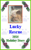 Lucky Rescue - 2015 Holiday Story